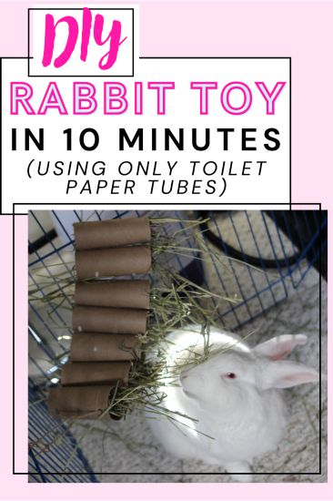 Learn how to craft an engaging hanging toy for your rabbit using just toilet paper rolls with our easy step-by-step guide | easy rabbit toys diy | rabbit enrichment toys diy Rabbit Enrichment, Pet Rabbit Toys, Toilet Paper Tubes, Pet Rabbit Care, Rabbit Hay, Bunny Lady, Bunny Room, Pet Bunny Rabbits, Paper Towel Tubes