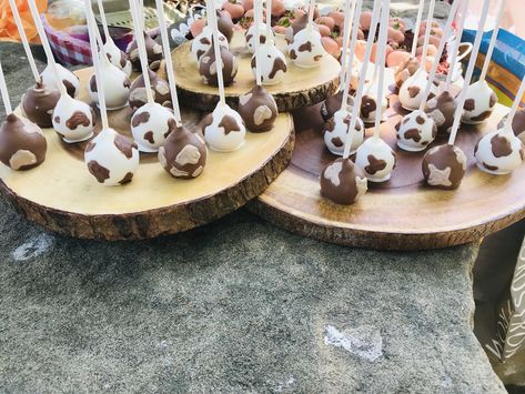 Cowprint Cake Pops, Highland Cow Bridal Shower Theme, Highland Cow Dessert Table, Farm Theme Cake Pops, First Rodeo Cake Pops, Highland Cow Cake Pops, Rodeo Cake Pops, Cow Print Cake Pops, Western Cake Pops