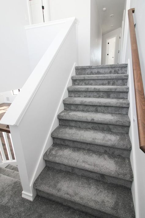 Plush Gray Carpeted Staircase Light Grey Carpet Stairs, Grey Carpet House, Plush Carpet Living Rooms, Grey Carpets For Stairs And Landing, Grey Stair Carpet Ideas, Grey Carpet Staircase, Grey Carpet Hallway And Stairs, Grey Carpet On Stairs, Dark Grey Carpet Stairs