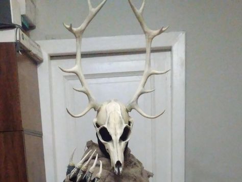 Wendigo Mask Diy, Windego Costume, Wendigo Makeup, Wendigo Cosplay, Wendigo Mask, Wendigo Costume, Krampus Costume, Halloween Fantasia, Larp Ideas