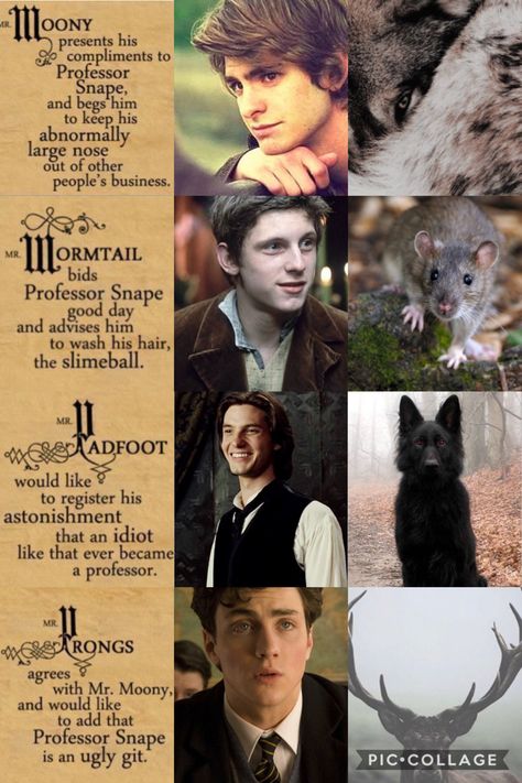 Prongs Harry Potter, Moony Harry Potter, Moony Padfoot Prongs Wormtail, Atyd Christopher, The Mauraders Era, The Muradures, Hogwarts Marauders Era, Marauders Era Characters, Padfoot Aesthetic