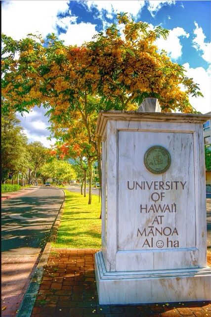 Uh Manoa University Of Manoa Hawaii, University Of Hawaii Manoa, Uh Manoa Dorm, Hawaii University Aesthetic, Hawaii Pacific University Aesthetic, Uh Manoa Aesthetic, College In Hawaii Aesthetic, Hawaii College Life, University Of Hawaii At Manoa Aesthetic