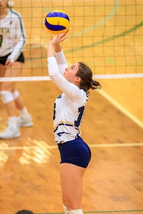 Volleyball Goals, Volleyball Women, Volleyball Beach, Volleyball Positions, Indoor Volleyball, Volleyball Poses, Female Volleyball Players, Women's Volleyball, University Of Alberta