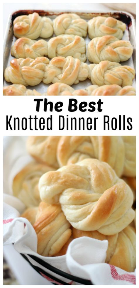 Knot Rolls, Homemade Exfoliator, Best Yeast Rolls, Best Dinner Roll Recipe, Honey Dinner, Thanksgiving Rolls, Sweet Dinner Rolls, Modern Honey, Bread Winners