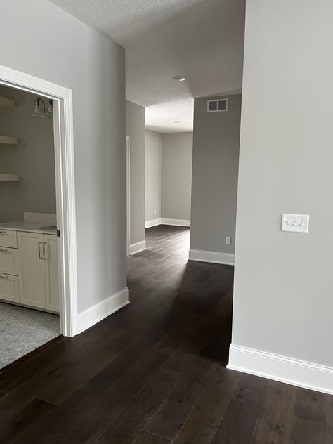 Grey Walls Light Floors, Dark Floors Gray Walls, Room Ideas Hardwood Floor, Brown Floor Grey Walls, Dark Flooring Living Room Ideas, Grey Tone Home Interior, Apartment Flooring Ideas, Grey Walls And Wood Floors, Dark Floors Grey Walls