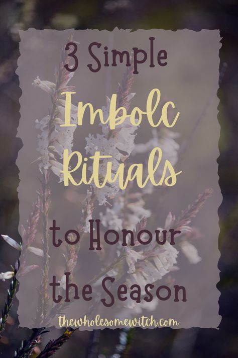 Click through for 3 easy and powerful rituals to include in your Imbolc festivities this year. #witchlife #imbolc #pagan Wholesome Witch, Imbolc Ritual, Dandelion Light, Pagan Festivals, Witch Rituals, Lavender Water, Yellow Candles, Pagan Rituals, Coconut Milk Powder