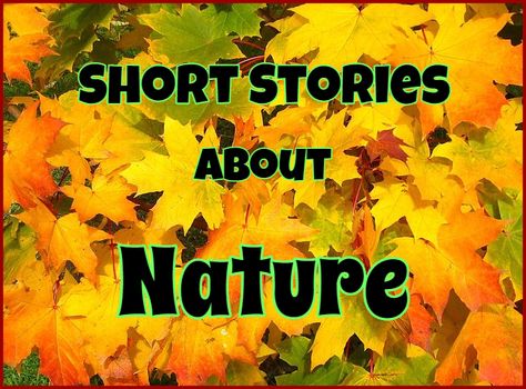 Short Stories ABOUT NATURE AND SURVIVAL   This section has stories where people feel an affinity to the outdoors, or nature features prominently in the action for good or bad . The setting is often an important part of the plot. See also Survival See also Animals Here are some stories that might interest an avid reader, or that might be suitable … Continue reading Short Stories About Nature | Environment → Short Story About Nature, Reading Short Stories, Short Story Prompts, Fiction Short Stories, Stories With Moral Lessons, Inspirational Writing, Fuzzy Shorts, Very Short Stories, Short Moral Stories