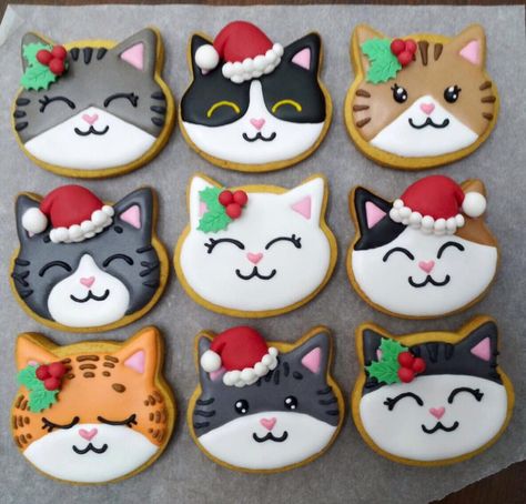 icing cookies. x'mas cats Cat Decorated Cookies Royal Icing, Cat Cutout Cookies, Monster Cookies Royal Icing, Kitty Cookies Decorated, Royal Icing Cookies Animals, Christmas Cat Cookies Decorated, Cat Face Cookies, Cat Themed Cookies, Cat Christmas Cookies