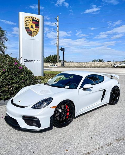 Porsche Techart, Porsche 718 Gt4, Xe Bugatti, New Audi Car, Gt4 Rs, Porsche Cayman Gt4, Porsche 718 Cayman, Audi Car, Cayman Gt4