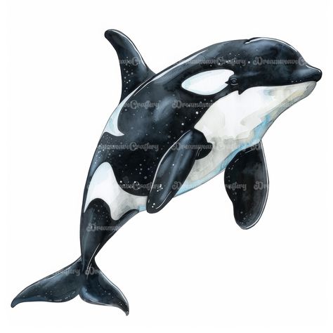 Majestic Cartoon Orca Marine Animal Watercolor Art Printable High Quality JPG Papercraft Junk Journal Scrapbooking Digital Download On Etsy: dreamweavecraftery.etsy.com #cute #cartoon #watercolor #clipart #art #papercraft #designing #craft #junkjournal #printable #download #scrapbooking #collage #orca #ocean #sea #marine #animal #wildlife Cartoon Orca, Orca Illustration, Art Papercraft, Scrapbook Prints, Monogram Wallpaper, Scrapbooking Collage, Animal Watercolor, Marine Sea, Animals Watercolor