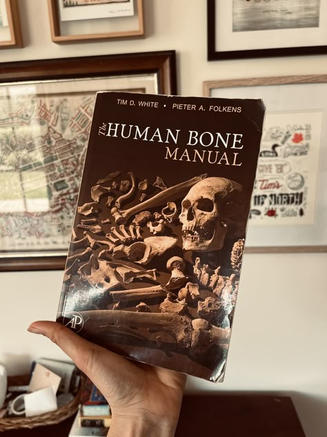 The Human Bone Manual (affiliate link provided) should be in every archaeologist's and biological anthropologist's bag on site. Its the best for on site reference for idencification and siding. It may be heavy for it's size, but it's worth it! Students, go get yourself one! #archaeology #reference #book #onsite #fieldwork #field #anthropology #books #biologicalanthropology #bioanth #history #humanbonemanual Anthropology Books, Anthropology Major, Biological Anthropology, Forensic Anthropologist, Archaeology Aesthetic, Forensic Anthropology, College Vision Board, Human Bones, Career Vision Board