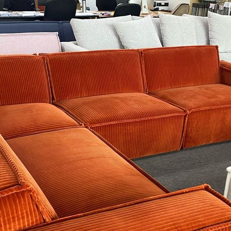 Harbro on Instagram: "Corduroy game = strong.   Rufus modular sofa,  Size 3050mm x 2350mm fabric: Maharam wide cord https://www.maharam.com/products/wide-corduroy/colors/001-sanguine" Corduroy Sofa, Sofa Size, Modular Sofa, Sofa, Fabric, On Instagram, Quick Saves, Instagram, Color