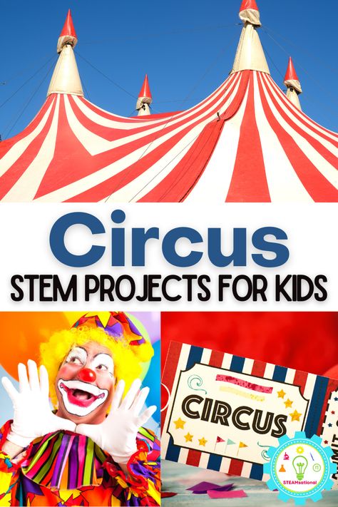 Circus Theme Kindergarten Activities, Circus Books For Kids, Circus Activities Preschool Crafts, Circus Literacy Activities, Circus Theme Classroom Activities, Circus Steam Activities, Circus Themed Art Projects, Stem Carnival Activities, Circus Literacy Activities Preschool