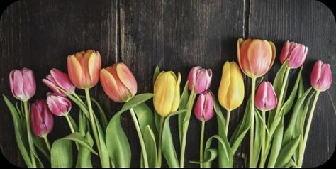 Spring Cover Photos, Facebook Cover Photos Flowers, Springtime Pictures, Garden Quotes Signs, Sunday Quotes Funny, Beautiful Tulips, End Of Spring, Spring Quotes, Fb Cover Photos