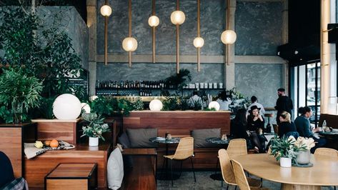 45 Best Coffee Shops in Melbourne in 2022 - The Trend Spotter Melbourne Coffee, Melbourne Cafe, Mr Mrs Smith, Banks Building, Queen Birthday, Mrs Smith, Best Coffee Shop, Bar Kitchen, Polished Concrete