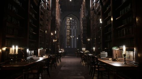 Dark Academia Template, Library Video, Harry Potter Library, Darkest Academia, Hogwarts Library, Template Notion, Hogwarts Aesthetic, Slytherin Aesthetic, Harry Potter Aesthetic