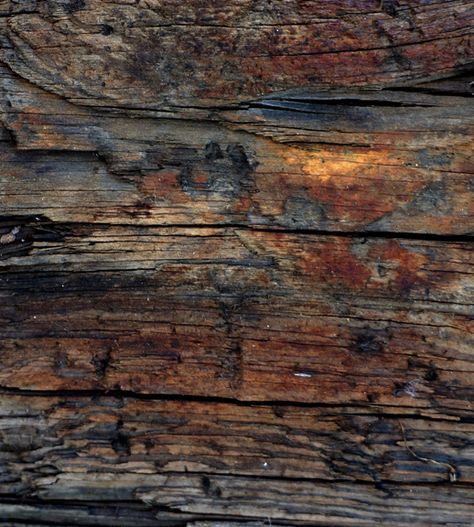 laurajwryan: The Old Beam, 5/31/2013 Reaching back to last spring and found a folder full of photos I barely processed… Our old farmhouse and barn have these fantastic old hand-hewn beams…I love their color, the patterns of their grain and their cracks, gorgeous… Hand Hewn Beams, Iphone 5s Wallpaper, Condo Ideas, Wire Trees, Colorful Clouds, Old Farm Houses, Grain Texture, Old Farmhouse, Cozy Cabin