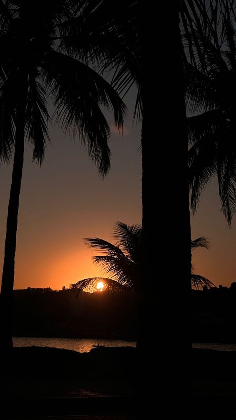 Florida Night Aesthetic, Florida Night, Daniel Silva, Beach At Night, Dream Places, Night Aesthetic, Summer Pictures, Picture Video, The Outsiders