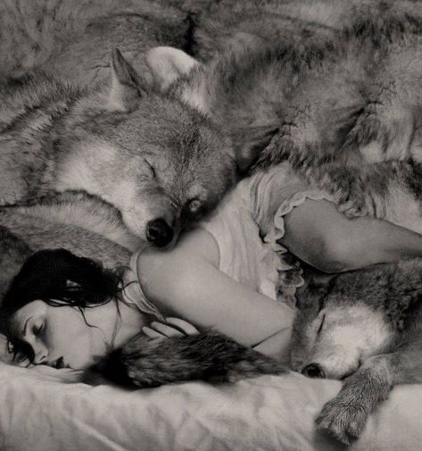 Robin Isely, Lup Singuratic, Werewolf Aesthetic, Wolves And Women, She Wolf, Wolf Love, Wolf Spirit, The Full Moon, Bad Wolf