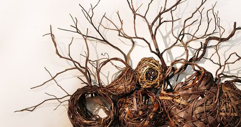 Grapevines join bark and kudzu in Matt Tommey’s unique take on baskets. Outdoor Room Decor, Willow Wreath, Basket Art, Weaving Baskets, Textures Art, Patio Design Ideas, Twig Art, Texas Gardening, Art Bowls