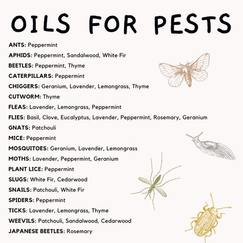 Essential Oils For Fleas, Essential Oil Bug Spray, Essential Oil Spray Recipes, Diy Bug Spray, Bug Spray Recipe, Natural Bug Repellent, Essential Oil Remedy, Essential Oils Guide, Essential Oil Spray