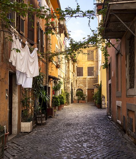 Reasons to visit Rome in 2017 : Gourmet Traveller Italian Mural, Rome Streets, Rome Art Print, Trastevere Rome, Born In Roma, Rome Itinerary, Rome Photo, Rome City, Beautiful Streets