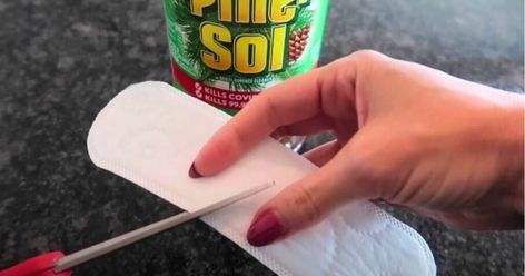 Mom Puts Pine-Sol on a Panty Liner For Ingenious Hack Pine Sol Cleaning, Raccoon Repellent, Natural Fly Repellant, Pine Sol, Fly Repellant, Panty Liner, Pet Urine, Household Cleaner, Garbage Disposal