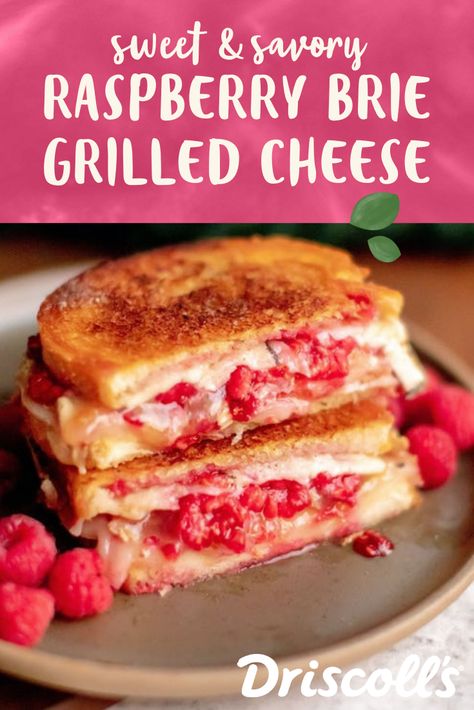 Fruit And Cheese Sandwich, Raspberry Grilled Cheese, Brie Apple Cranberry Grilled Cheese, Strawberry Grilled Cheese, Raspberry Recipes Savory, Savory Brie, Brie Grilled Cheese Sandwich, Jam Grilled Cheese, Grilled Cheese Recipes Gourmet