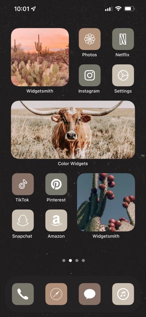 Western Aesthetic Home, Western Icons Aesthetic, Iphone Layout Homescreen, Instagram Settings, Layout Homescreen, Phone Apps Iphone, Aesthetic Home Screen, App Store Icon, Western Wallpaper Iphone