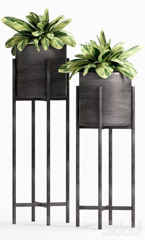 Plant Stands Ideas, Mid Century Modern Plant Stand, Mid Century Modern Plants, Black Plant, Modern Plant Stand, Interior Plants, Metal Planters, House Plants Decor, Plant Stands