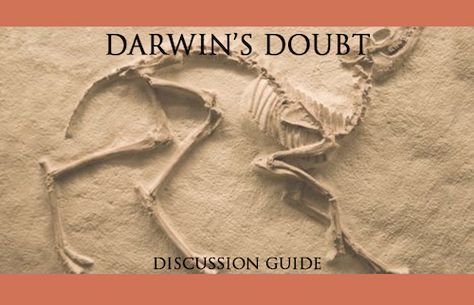 It's Here, and It's Free: The New Discussion Guide to Darwin's Doubt! English Foxhound, Desert Trip, Home Science, Petrified Forest National Park, Turn To Stone, Oldest Human, Nature Museum, Dinosaur Skeleton, Skeleton Bones