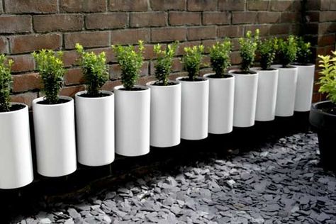 Pvc Planter Ideas, Diy Test Tube Planter, Toilet Roll Plant Pot, Concrete Form Tube Ideas, Pvc Cactus, Pvc Pipe Planters, Pvc Pipe Garden Ideas, Tube Planter, Paper Cylinder