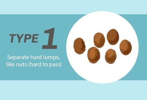 Can You Still Poop With Impacted Feces? Blood In My Stool, Distended Stomach, Bristol Stool, Bristol Stool Chart, Stool Chart, Sugar Symptoms, Blood Sugar Symptoms, High Blood Sugar Symptoms, Body Functions