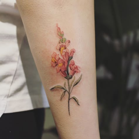 Snapdragon Flowers, Cute Simple Tattoos, Fairy Tattoo, Dope Tattoos, Fine Line Tattoos, Tattoo Flash, Line Tattoos, First Tattoo, Dragon Tattoo