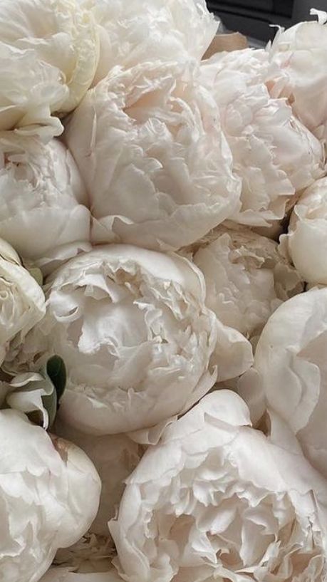 Era Victoria, Wedding Flowers Peonies, Decoration Shabby, Peony Wallpaper, Pink Wedding Flowers, Flower Therapy, White Peonies, Luxury Flowers, Flower Phone Wallpaper