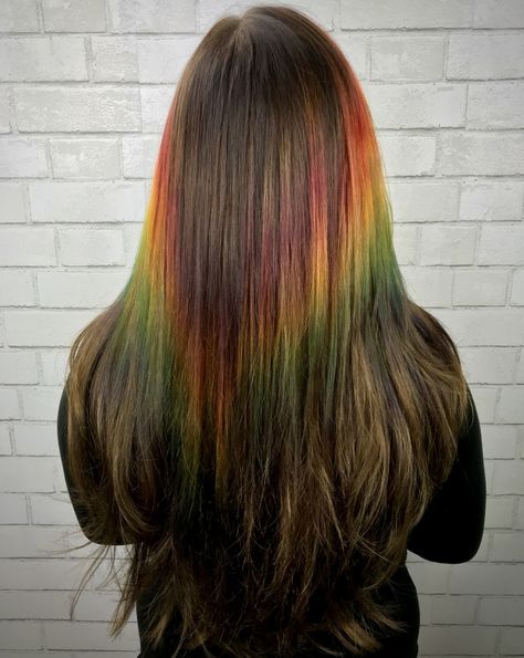 Shine Line Hair Color, Shineline Hair, Shine Line Hair, Subtle Rainbow Hair, Adopt Inspiration, Fox Den, Clown Face, Crazy Color, Hair Advice