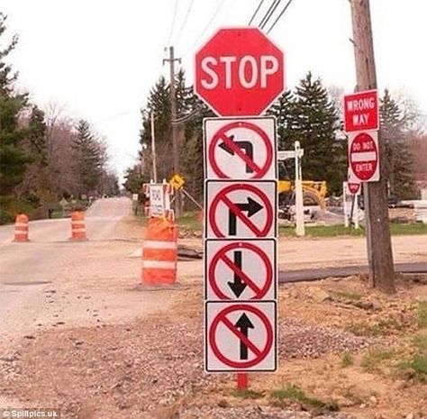 Mixed up: This confusing road sign said that drivers couldn't go in any direction... Funny Road Signs, You Had One Job, Leyte, Stop Sign, Traffic Signs, Memes Br, One Job, Road Signs, E Card