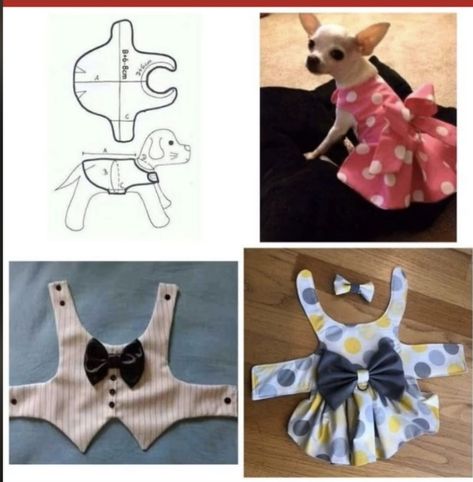 Chihuahua Clothes Patterns, Tiny Dog Clothes, Sew Dog Clothes, Pet Clothes Patterns, Dog Clothes Patterns Sewing, Animal Clothes, Learn Sewing, Dog Dress Pattern, Small Dog Dresses