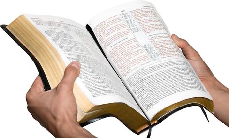 Closeup on hands holding an open bible | Premium Photo #Freepik #photo #bible #belief #christian-religion #faith Hiding Tv Cords On Wall, Gallery Frame Set, Social Media Church, Open Bible, Christian Backgrounds, Church Poster Design, Bible Images, Bible Pictures, Flyer Design Inspiration