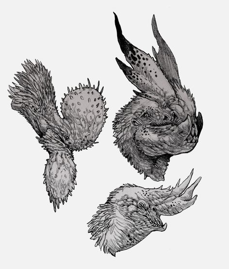 Gryphon-Busts by Stephen-0akley on DeviantArt Character Design Page, Silent Hill Art, Sculpting Ideas, Dragon Heads, Speculative Evolution, Design Page, Creature Artwork, Cool Monsters, Curious Creatures