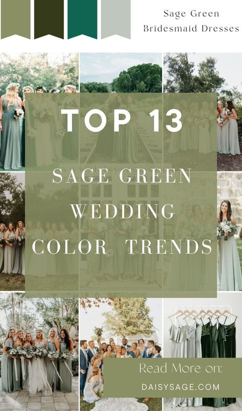 Step into a world of elegance with these top 13 sage green wedding color theme ideas for 2025. Discover the perfect blend of softness and sophistication for your dream wedding. Wedding Color Theme Ideas, Wedding Color Themes, Green Wedding Palette, Green Fall Weddings, Sage Green Wedding Theme, Sage Green Wedding Colors, Elegant Wedding Themes, Wedding Color Palettes, Wedding Color Trends