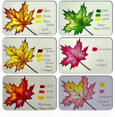 Ideas for leaves. .. not my work. Just sharing. Coloring Leaves, Garden Enchanted, Colouring Tips, Pencil Inspiration, Secret Garden Coloring Book, Secret Garden Colouring, Gardens Coloring Book, Colored Pencil Tutorial, Coloring Techniques