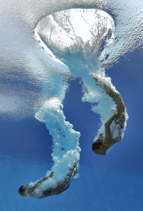 Diving Springboard, Swimming Pictures, Synchronized Swimming, Open Water Swimming, Summer Photoshoot, Open Water, Underwater Photography, Summer Photos, In The Ocean