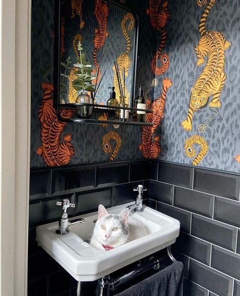 Emma J Shipley ✍🏻🐾✨ on Instagram: “The purrrrfect spot 😻⁠ ⁠ Our Tigris wallpaper has created such a WILD and wonderful environment at @the_scruff_house, that Bowie the cat…” Monochrome Wallpaper, Luxury Wallpapers, Peacock Tail, Monday Mood, Navy Wallpaper, Greek And Roman Mythology, Teal Wallpaper, Teal Background, Bolster Cushions