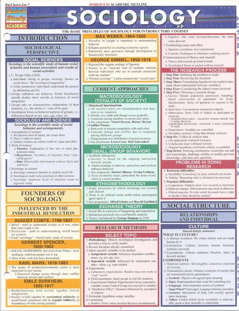 sociology chart Sociology Theory, Sociology Major, Sociology Class, Importance Of Time Management, Excel Tutorials, Forensic, Online Education, Sociology, Study Notes