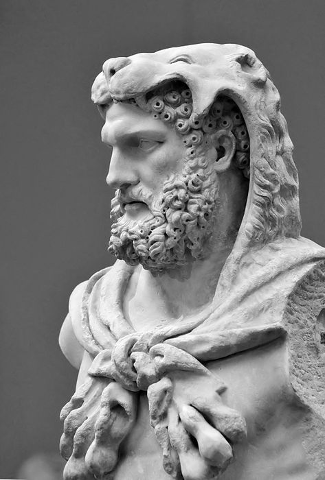 Eracle Lion Headdress, Hercules Statue, Hercules Tattoo, Greek Tattoo, Greek God Tattoo, Statue Tattoo, Greek Mythology Tattoos, Roman Statue, Classic Sculpture