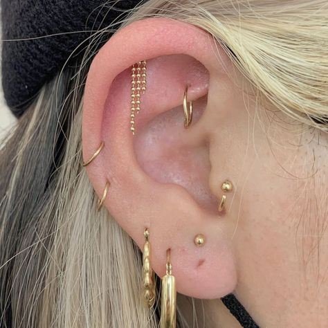 Cassi Lopez-March on Instagram: “*beautiful cascading waterfalls*✨#sogoldbk #allgoldeverything #piercer #piercings” Brain Surgery Survivor, Triple Lobe, Minimalist Ear Piercings, Constellation Piercings, Ear Curation, Cool Ear Piercings, Pretty Ear Piercings, Cool Piercings, Cute Ear Piercings