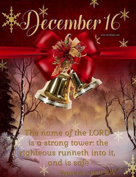 December 16 christmas good morning december december quotes christmas countdown Religious Christmas Quotes, December Wishes, December Scriptures, Good Morning Christmas, Welcome December, Christmas Verses, December Quotes, Christmas Scripture, Christmas Bible Verses