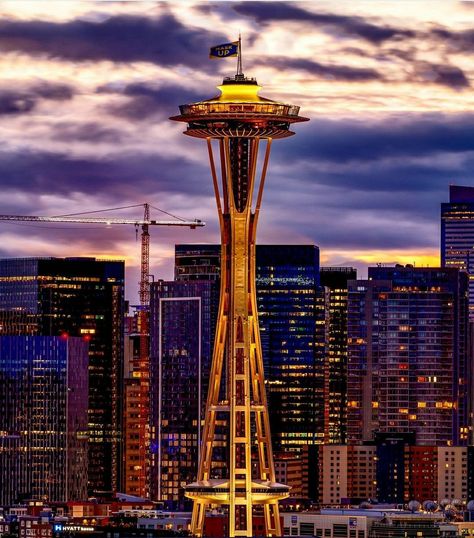 #Seattle Must See - ✈ #downtownseattle in #Washington, the most beautiful state in the Pacific Northwest🌲. #pnw 🌳 #tourism #tourismseattle 🛫 #travel #travelseattle #WashingtonState #whattosee #spaceneedle #emeraldcity #pacificnw #pioneersquare #pwntravel #greatwheel #centurylinkfield #cityofseattle Natalie Aesthetic, Usa Life, Seattle Space Needle, Space Needle Seattle, Evergreen State, Pike Place Market, Pacific Nw, Downtown Seattle, Emerald City