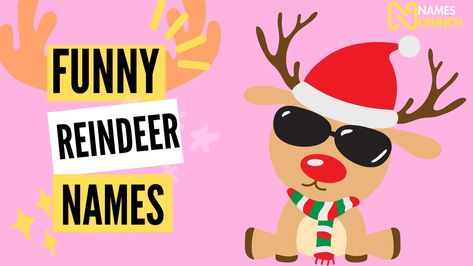 "A festive array of playful and humorous reindeer names under the theme 'Jingle All The Way With', perfect for holiday enthusiasts and those seeking a sprinkle of Christmas joy." Reindeer Names Printable Free, Female Reindeer, Funny Reindeer, Reindeer Names, Immediate Family, Funny Names, Name Ideas, The North Pole, Name Generator